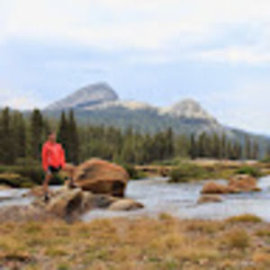 Meet your Posher, Susan